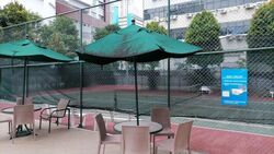 Ritz Mansion (D12), Apartment #449988791